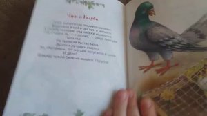 Басня Крылова "Чиж и голубь"