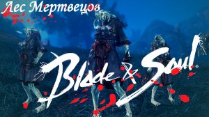 #3 Blade & Soul (gameplay only)