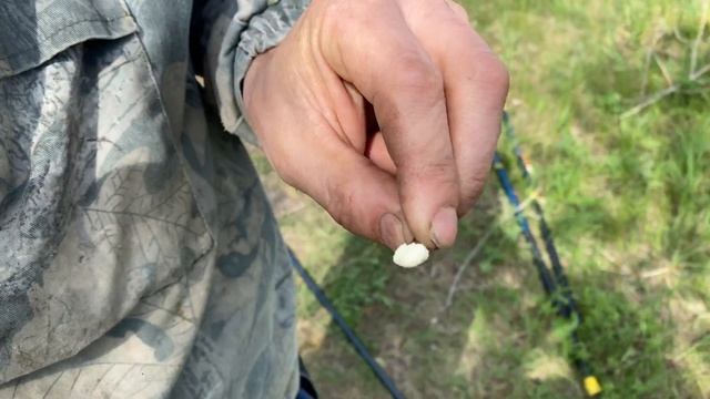 Съездили на рыбалку. Делаем супер наживку. Сделали своими руками коптильню смотреть онлайн