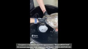 Окрашивание пенной баней!