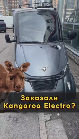 Кому Элекро Кенгуру? 😁 #автоизевропы #автоподборспб #автоподбормосква