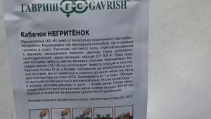 Какие СОРТА КАБАЧКОВ посадить в следующем сезоне