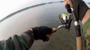 Щуки меж пляжных русалок! Незацепляйка Kuusamo работает на 5+