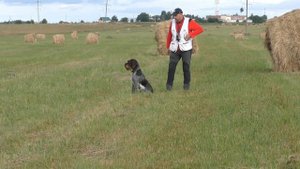 9. НАТАСКА ЛЕГАВЫХ  / ГОНЬБА часть 2