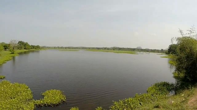 Sri Lanka Yala Park Шри-Ланка парк Яла