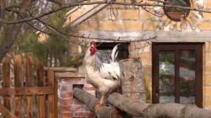 Готовим Ярму Азербайджанская Кухня Деревенская Кухня  Рецепты