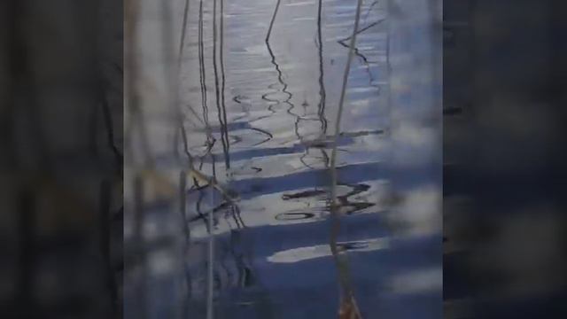 Рыбалка !!! 👍 смотреть онлайн