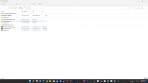 How to Fix Errors for Zibo Mod Boeing 737-800 After the 22nd September Update for X-Plane 12