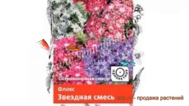 Флокс обыкновенный Звездная смесь (zvezdnaya smes) ? обзор: как сажать, семена флокса Звездная смес смотреть онлайн