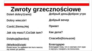 Урок 2. Вежливые слова.[Как выучить польский язык]