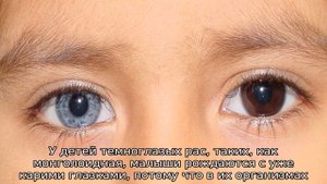 Когда у новорожденного открываются глазки, почему они мутные