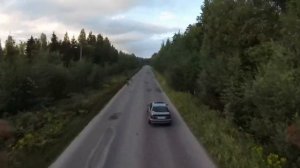 Специально обученная птица помогла нам снять это видео