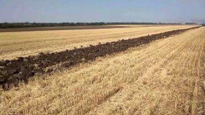 Пахота в уборку. Т150 с плугом пску 5. 3 метра захват.