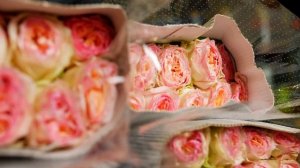 GFG | ЦВЕТЫ ОПТОМ. Роза, сорт Flashback • плантация Decofresh Roses. Кения.