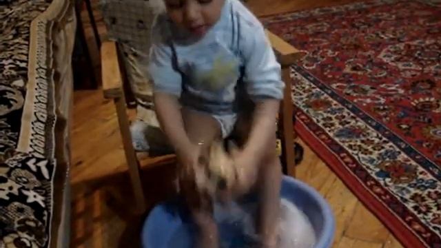 купание собачки смотреть онлайн