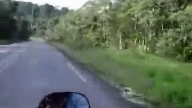 domingo e segunda 19-20-11-2006 parte 1 смотреть онлайн