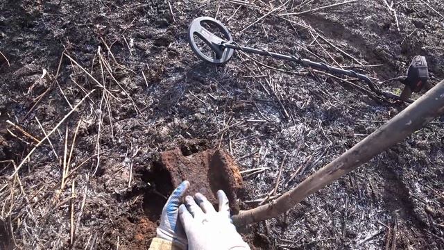 Забурились на Торфяники!!!Тащим РЕЛЬСЫ!!! XP Deus в ДЕЛЕ!!!С Нами Друг Шурен и Его НОВЕНЬКАЯ НИВКА! смотреть онлайн