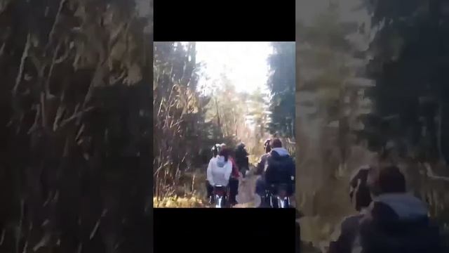 покатушки топ??#лето #альфа #питбайк смотреть онлайн