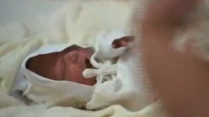 Комплект для новорожденного выписка в период межсезонья