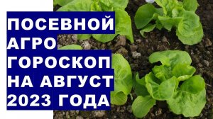 Посевной агрогороскоп на август 2023 года. Посівний агрогороскоп на серпень 2023 року