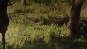 ///Один день из жизни травника///