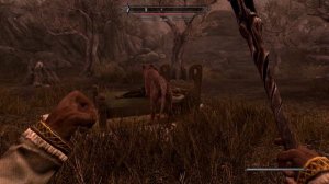 Skyrim - КВ безумный ум - прохождение