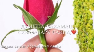 Дала декъала йойла нена-йиша?