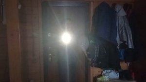 Фильм «Медведь»