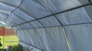 Обзор теплицы в жару! Затенил теплицу! Очень помогло!