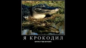 Стас Экстаз-я крокодил крокожу#неполнаяпесня