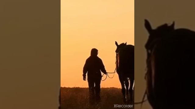 С конём. Ярослав Дронов