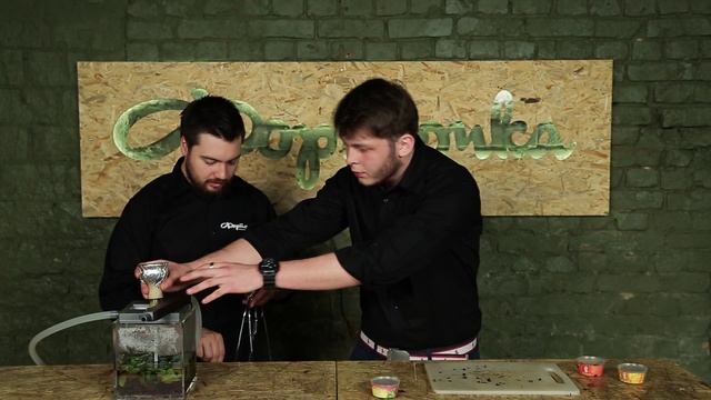 приготовление микса "Английский завтрак" смотреть онлайн