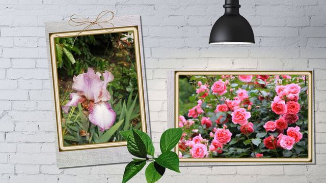 Музыка и цветы смотреть онлайн