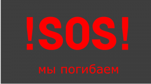 Две сотни якутят, спасенных от гибели  Что с ними будет?