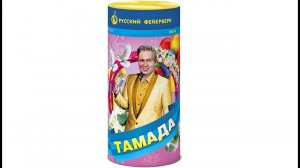 Фонтан Тамада Р4216