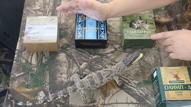 Выбор патронов или сколько стоит съездить на охоту? смотреть онлайн