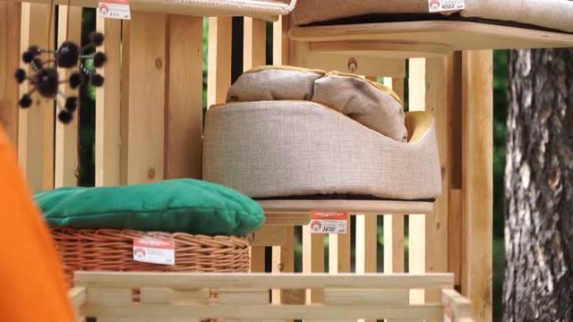 Домашние Животные: Репортаж Petshopdays смотреть онлайн