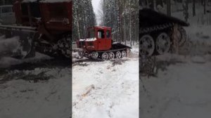 Тлт-100 в роботе лесозаготовка #ТДТ55