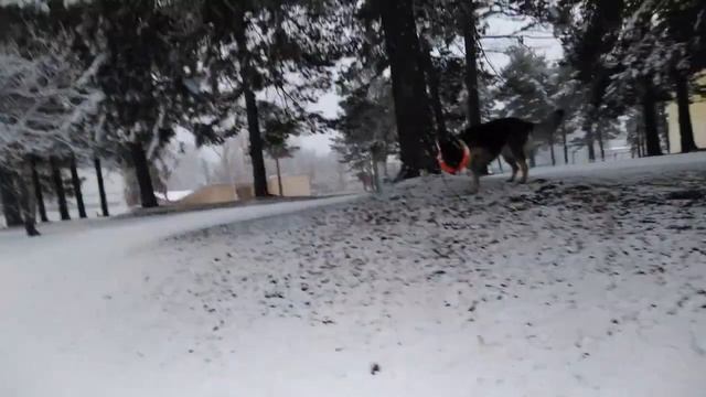 Урааааа!!! Снееежки!!! смотреть онлайн