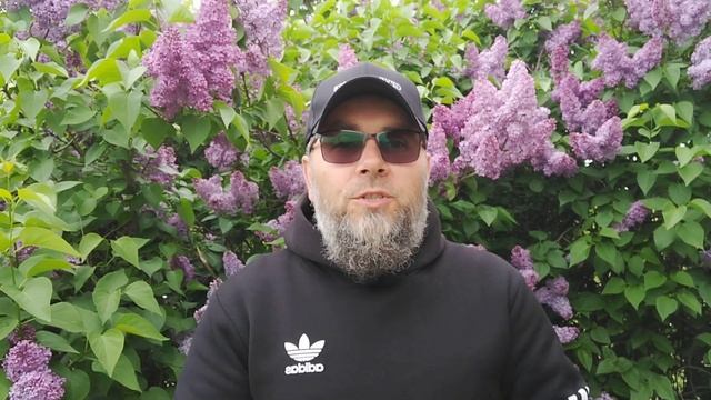 Монилиоз уничтожил абрикос, а курчавость персик. Что делать на будущее. смотреть онлайн