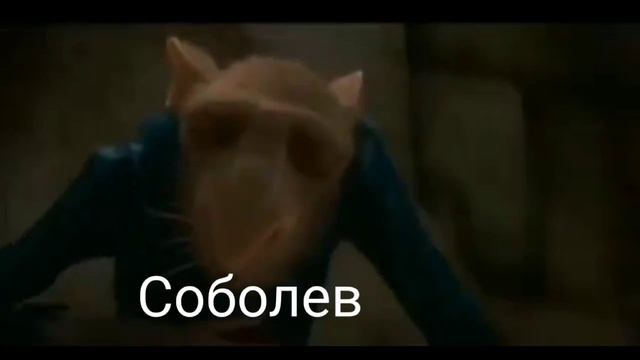 крыса