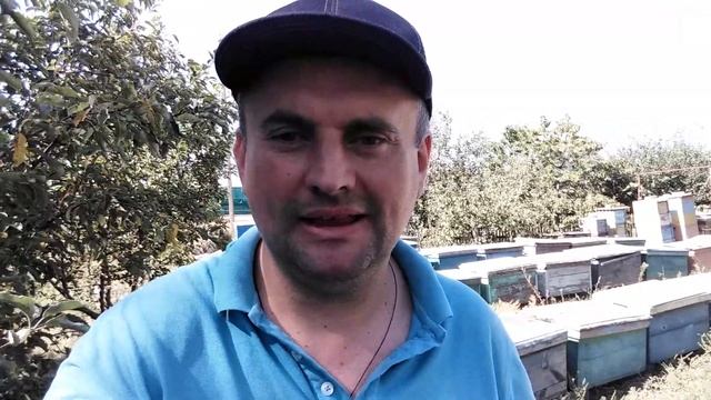 ХРАНЕНИЕ СОТОВ смотреть онлайн