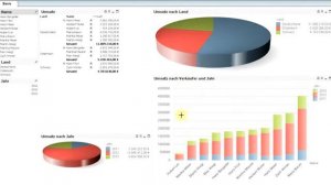 Reports mit Qlikview nutzen