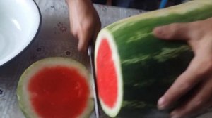 Арбуз Морган F1. 2 сентября 2018 г.