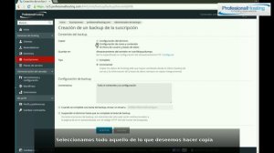 Plesk 12.5 como crear un backup