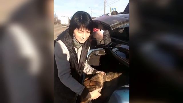 Грант за декабрь, видео отчёт