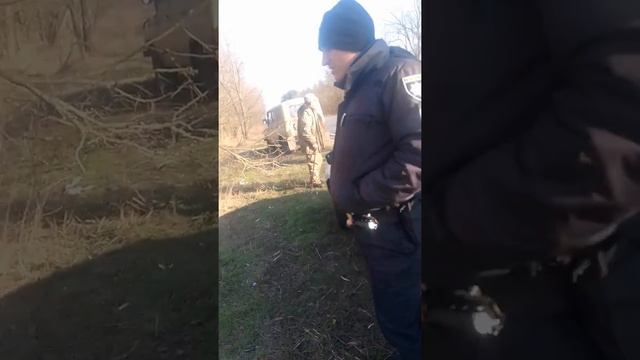 Можно ли собирать валежник? смотреть онлайн