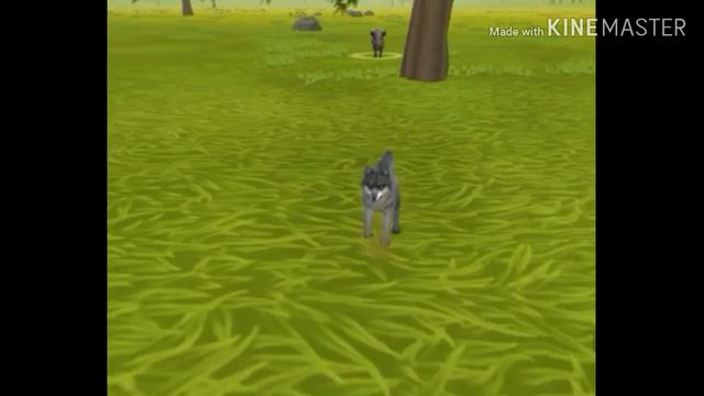 1часть) 🐺 волк это мир🐺 продолжение следует смотреть онлайн