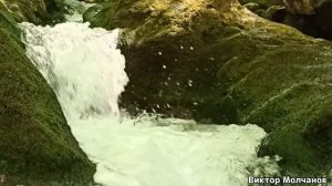 Медитация «Река жизни» из книги Наталии Правдиной "Выше нас только звезды"озвучил Виктор Молчанов