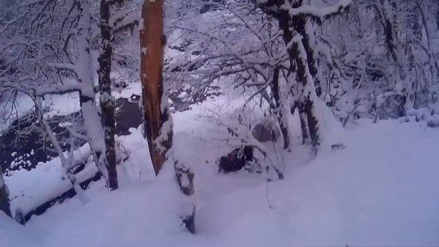 Агва. 28-29.01.2017 смотреть онлайн